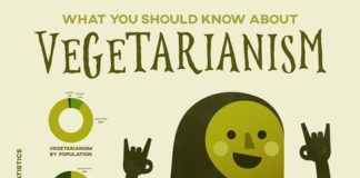 infographic design – 11 Infographic Design Trends 2018: Make Data Look Hot – GraphicMama