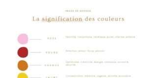 infographic meaning – La signification des couleurs – image de marque – Le Studio Créatif