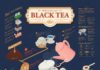 infographic poster – 1704 Black tea Infographic Poster