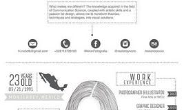 infographic software – Exemples de CV graphiques