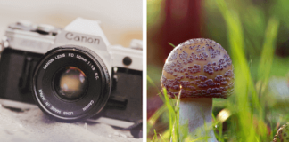 infographic software – Vocabulaire photographie : le lexique photo de A à Z pour débuter