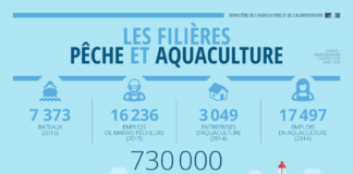 interactive infographic – Les infographies