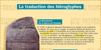 by the numbers infographic – ba0f81bffbab59a9013c62e2ece85c20 – Salle 106, Mme Ollier