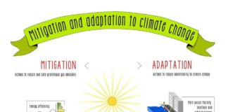 climate change infographic – Mitigation and adaptation to climate change