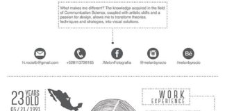 infographic resume – 39 Fantastically Creative Resume and CV Examples