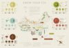 map infographic – Mancha Tea Map / Infographic