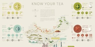 map infographic – Mancha Tea Map / Infographic
