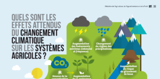 what is an infograph – Les infographies